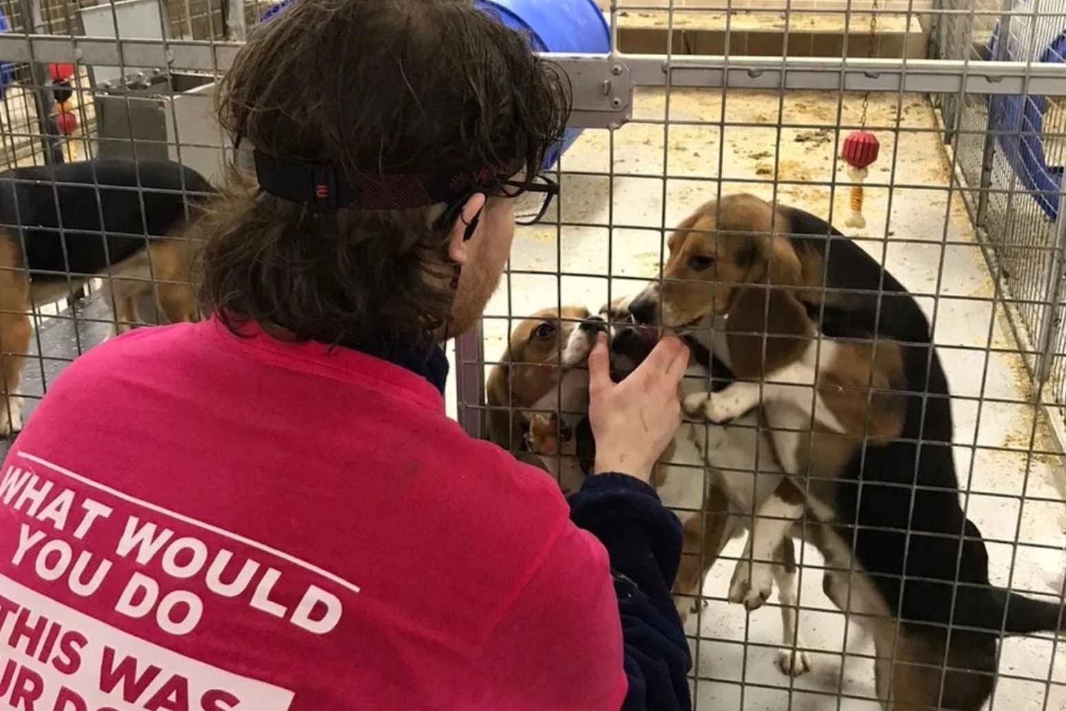 Police arrest 14 people after dogs are stolen from a research facility 